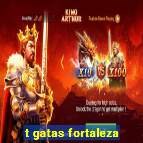 t gatas fortaleza